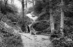 1903-Ecclesbourne-Glen